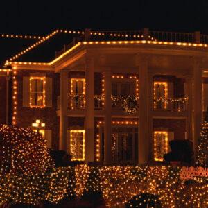 Warm LED Lights Holiday Inspired Lighting