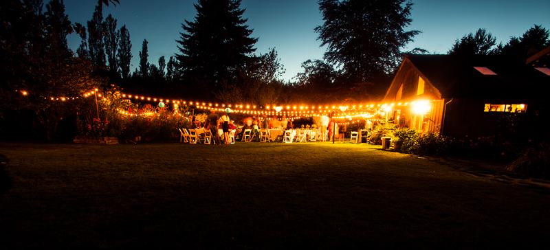 Lighting for Backyard Wedding